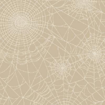 6505p756v2 En100cm Boy116cm