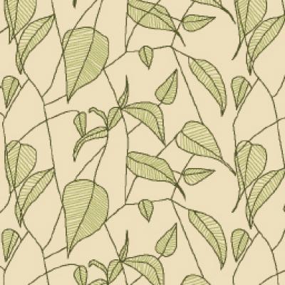 6473p771v1 En733cm Boy49cm