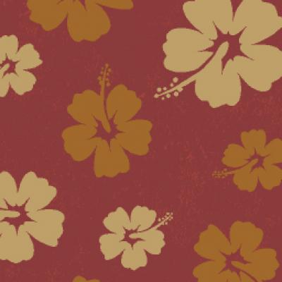 6474p766v2 En100cm Boy100cm